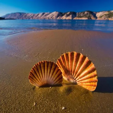 In By The Botel *