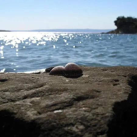 In By The * Supetarska Draga